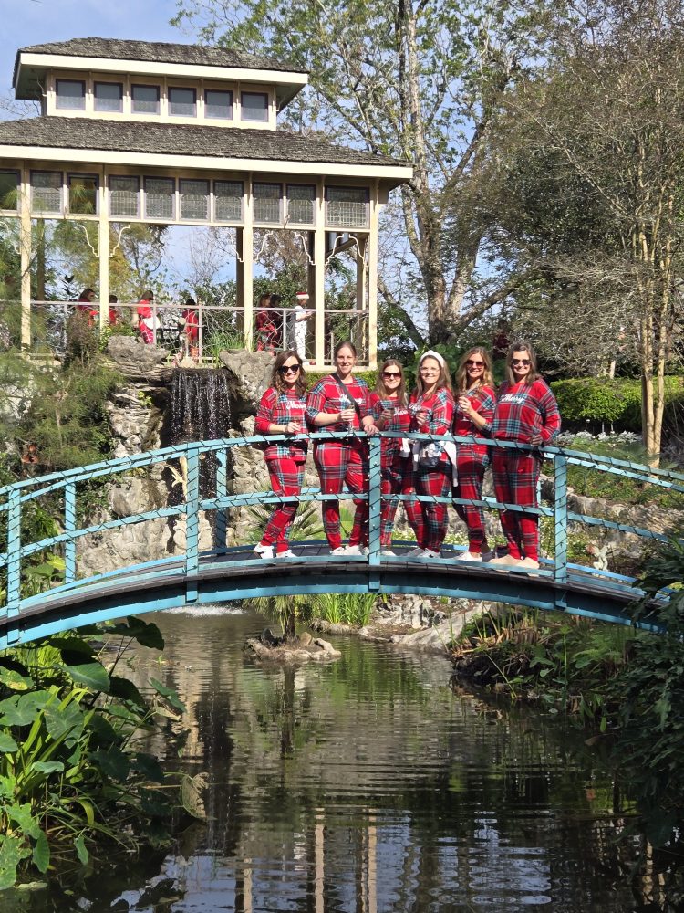 a group of people on a bridge over a river