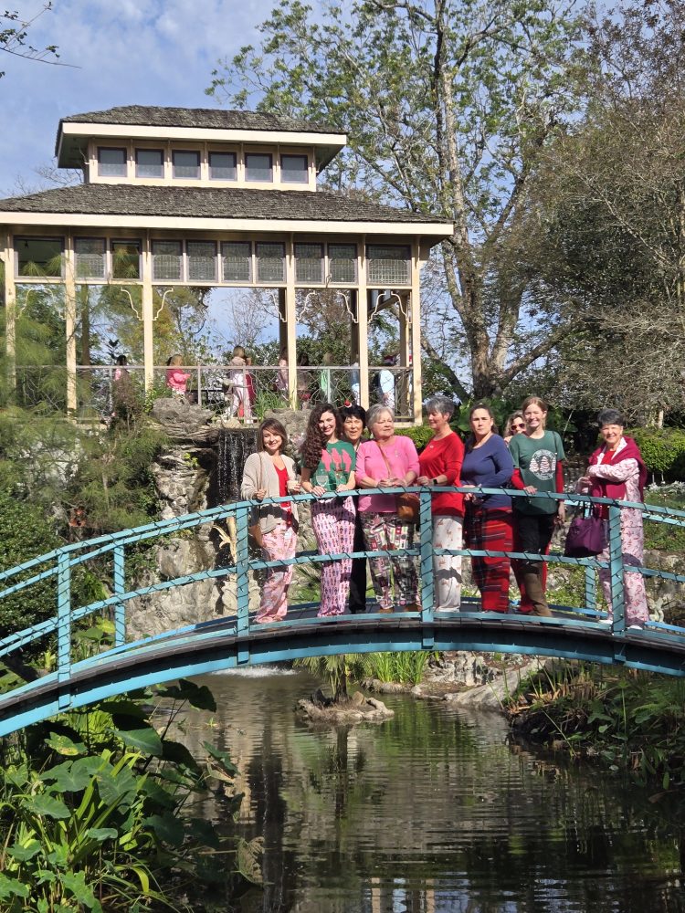 a group of people on a bridge over a river