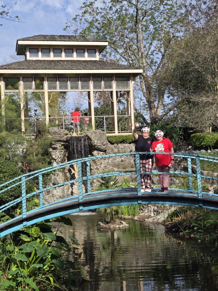 a bridge over a river