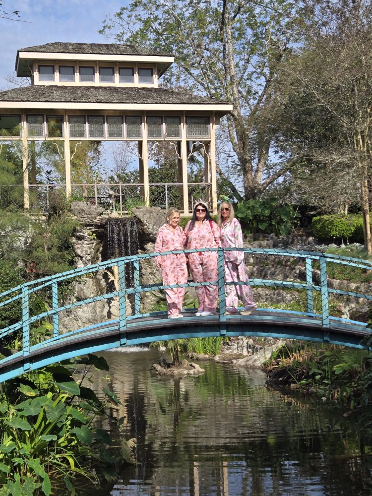 a bridge over a river