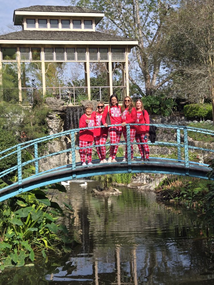 a bridge over a body of water