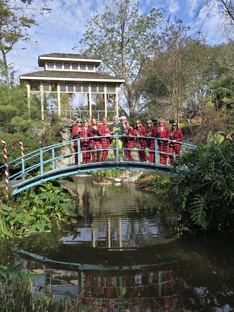 a bridge over a body of water