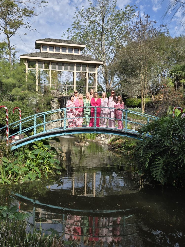 a bridge over a river