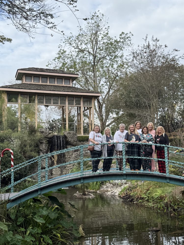 a group of people on a bridge over a river