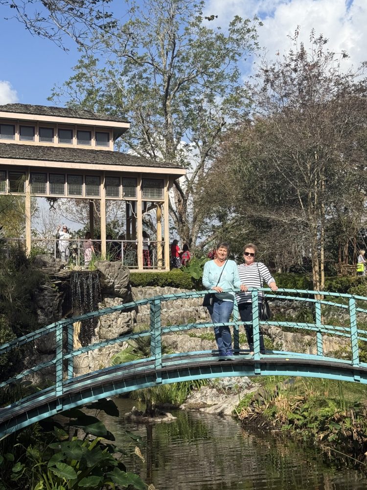 a person standing in front of a bridge